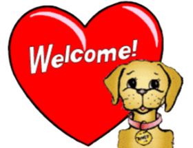 New Lenox pet sitting by Tender Lovin Dog Walk.